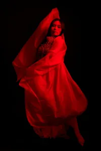 Editorial portrait of a person draped in flowing red fabric, dramatic lighting, professional photography by JG Brasseur.